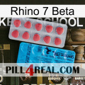 Rhino 7 Beta new14